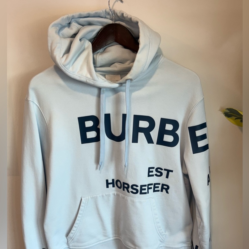 Burberry Light Blue Graphic Hoodie - Picture 2 of 14